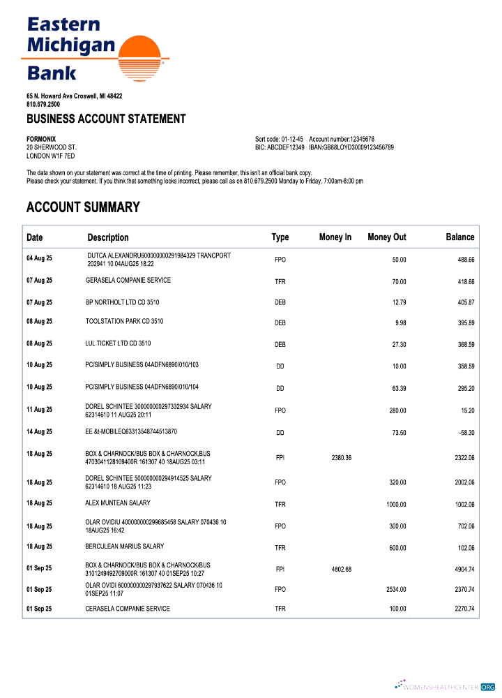 US Eastern Michigan organization checking account statement Word and PDF template